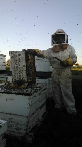 Bzzzz...