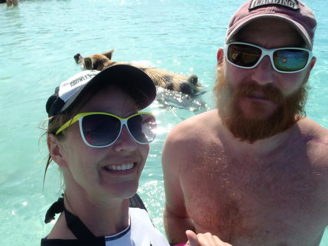 When Pigs Swim?!